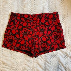 Express lace shorts